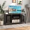 Gray TV Stand Media Console with Cable Management Adjustable Shelves Side Storage USB Charging